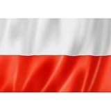 bandera polonia al reves Acabados : Costuras individual y bordes reforzados