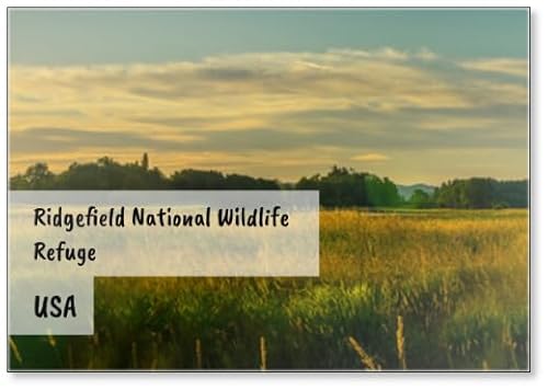 Ridgefield National Wildlife Refuge Summer Sunset State Washington State Design 1 Aimant de réfrigérateur