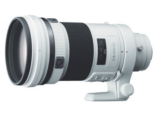 Sony 300mm F2.8 G + テレコンバーター + マウントアダプター Sony 300mm F2.8 G + テレコンバーター + マウントアダプター - メルカリ