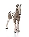 Schleich Farm World, Realistic Farm Animal Horse Toys for Kids and Toddlers, Tinker Foal Toy Figurine, Ages 3+