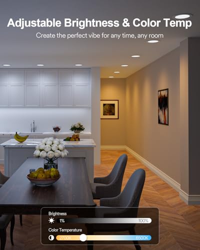 Lutron smart lighting system