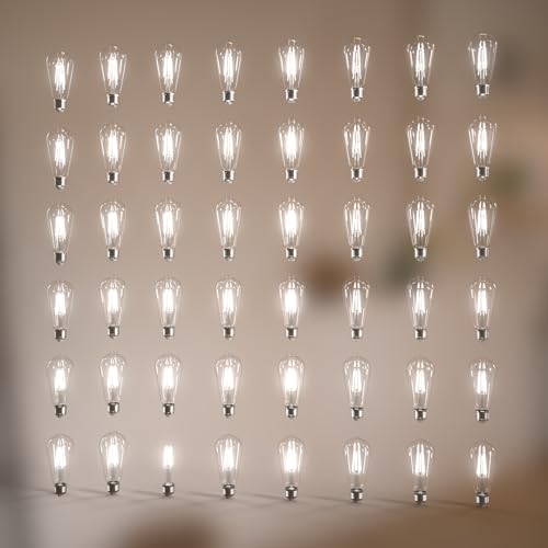 Image of Jensense Edison Bulbs E26 LED Bulb 60 Watt Equivalent, Vintage LED Light Bulbs CRI90+ ST19, Dimmable Clear Light Bulbs (5000k Daylight, 6watt-48 Pack)