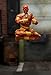 Jada - Street Fighter 2-15 cm Articulated Dhalsim Figure with Interchangeable Hands and Head, Accessories and 20 Articulated Points. from 13 Years Old (253252031)