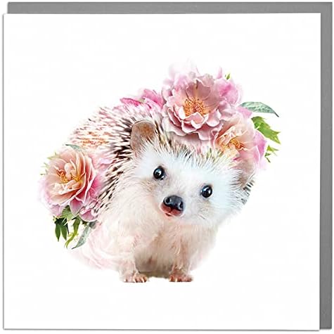 Lola Design - Wildlife Botanical Greeting Cards - Blank Cards and Envelopes - Squirrel Card