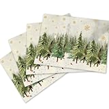 Farmhouse Holiday Placemats Set of 4, Snowflake Christmas Placemats 1218 Inch, Table Decor for Kitchen Dining, Indoor Christmas Decorations