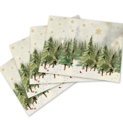 Farmhouse Holiday Placemats Set of 4, Snowflake Christmas Placemats 1218 Inch, Table Decor for Kitchen Dining, Indoor Christmas Decorations