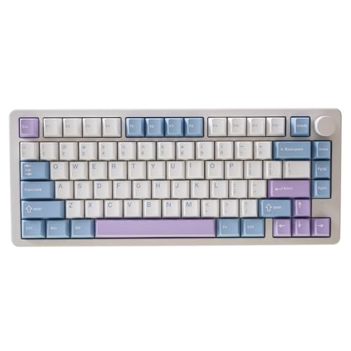 GK GAMAKAY TK75PRO Aluminium Mechanische Tastatur, 75% Kabellose RGB Gaming Tastatur Bluetooth/2.4GHz/USB KTT Hyacinth Switch Programmierbare und Hot Swappable (Weiß)