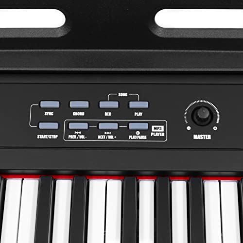 Piano Numérique Divarte DP35 Piano 88 Touches semi-lestées Haut-parleurs intégrés. 900 sons, 700 rythmes, 110 songs… - Les Beatles, Paul McCartney, John Lennon, RIngo Starr, George Harrison Piano Numérique Divarte DP35 Piano 88 Touches semi-lestées Haut-parleurs intégrés. 900 sons, 700 rythmes, 110 songs… – Image 8