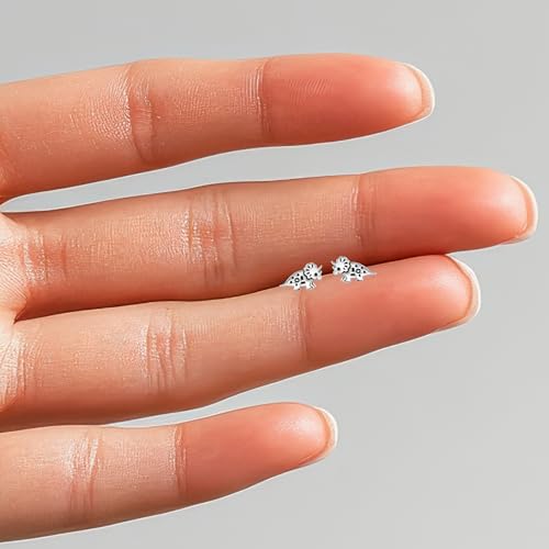 925 Sterling Silver Dinosaur Tiny Stud Earrings2