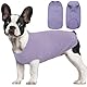 Hjumarayan Hundepullover Mittelgroße Hunde - Hundeshirt Dünn Hunde Pullover Sonnenschutz Tshirt Elastisch Hundepulli Gestreifte Shirt Pullis für Dackel Französische Bulldogge (Lila M)