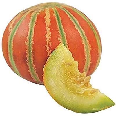 Muskmelon vegetable seeds for home gardening | pack of 30 vegetable seeds-picture-35
