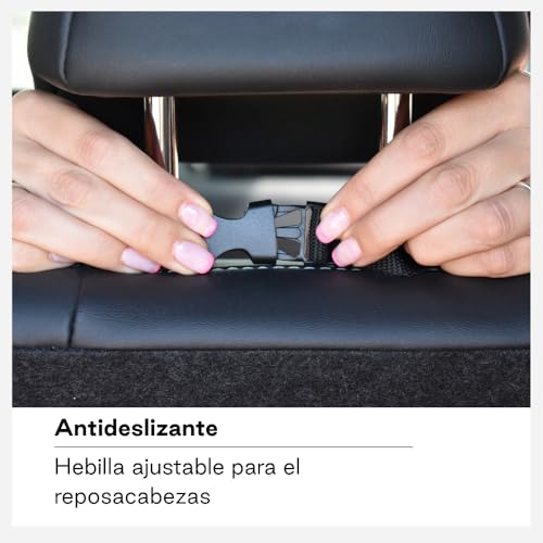 Miniatura 5 de 