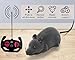 WenffbBou Remote Control Fake Rat Toy - Realistic Mouse Cat Toy Mice RC Toy Chasing Prank Joke Scary Trick Rats for Cat Funny Toy (Grey)