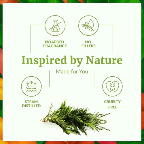 Image of SVA Cypress Essential Oil - 4 Fl Oz - 100% Natural Cypress Oil - for Diffuser, Hair Care, Face, Skin Care, Aromatherapy, Scalp and Body Massage, Soap and Candle Making - with Dropper