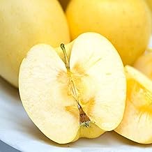 Yamagata Prefecture Apples for Home Use, Haruka, 4.4 lbs (2 kg)