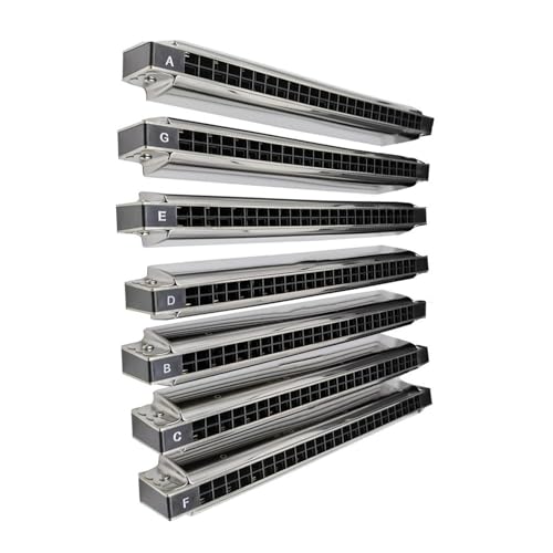 24|tHjbNGg[7_Zbg S҂l܂ŗKłn[jJy Dn[jJ