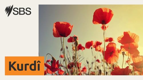 “Before blaming men, we must reflect on our own role” - "Berî em gazincan ji mêran bikin, divê em gazincan ji xwe bikin"