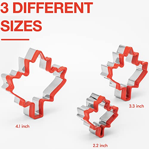 3 Pcs Maple Leaf Cookie Cutters 4.1'', 3.3'', 2.2'', Fall Thanksgiving Cookie Cutters, Holiday Cookie Cutter, Leaves Cookie Cutter Shapes, Metal Cookie Cutters, Mini Cookie Cutters #TOP2