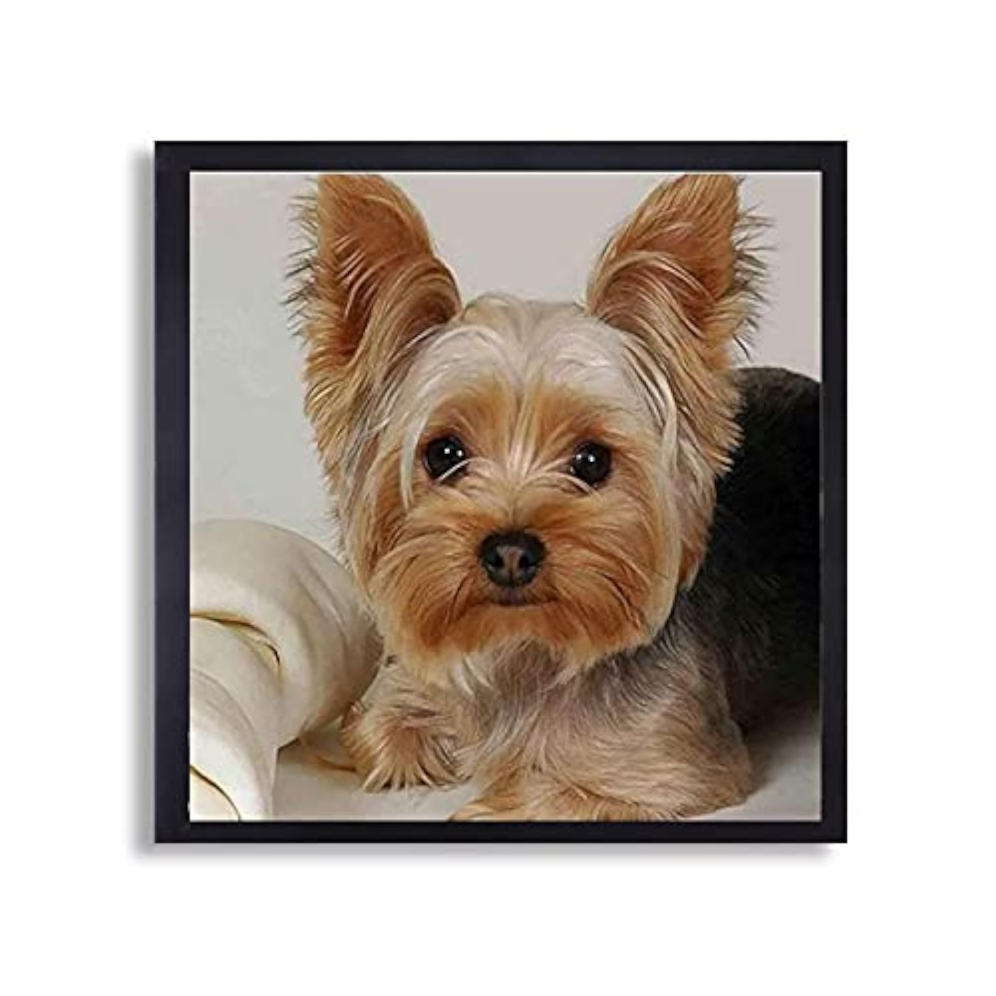 5D DIY Diamond Painting Yorkie Full Round Drill