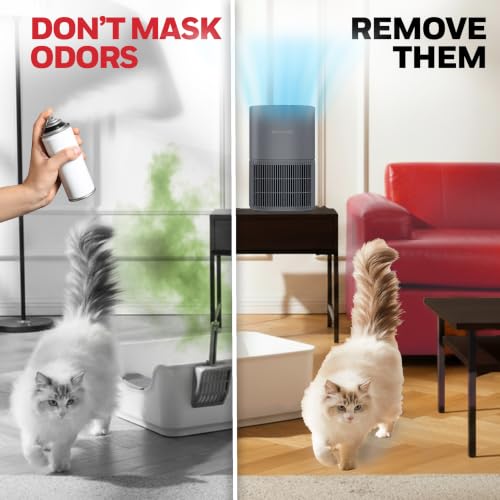 Honeywell Allergen Plus Compact Small Room HEPA Air Purifiers - image 5