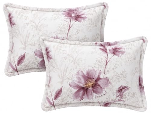 Image of Cotton Feel Glace Cotton Elastic Fitted Bedsheet Queen Size || Includes 1 Double Bed Elastic Bedsheet Queen Size with 2 Pillow Covers (60 inch x 78 inch Inches, BlissRose)