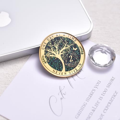 Image of LParkin 2 Year Sobriety Coin, Tree of Life Recovery Coin, AA Recovery Medallion, Anniversary Token Sobriety Gifts, Alcoholics Anonymous Medallion