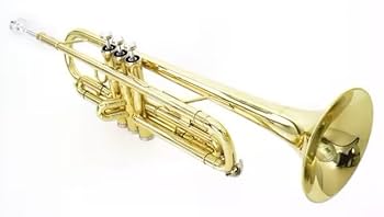 PLAYTECH プレイテック トランペット Amazon | PLAYTECH プレイテック 第1・第3トリガー付き