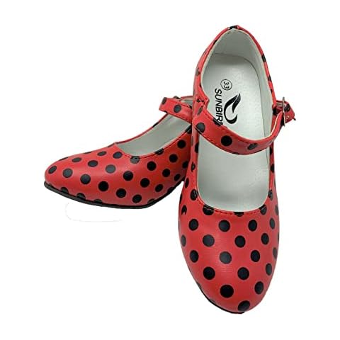 Chaussures de Flamenco SUNBIRD Cover