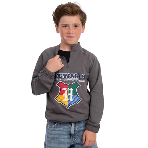 Harry Potter Sweater With Zip, Hogwarts Kids Jumper, Boys Sweater With Quarter Zip, Cotton Boys Clothes3