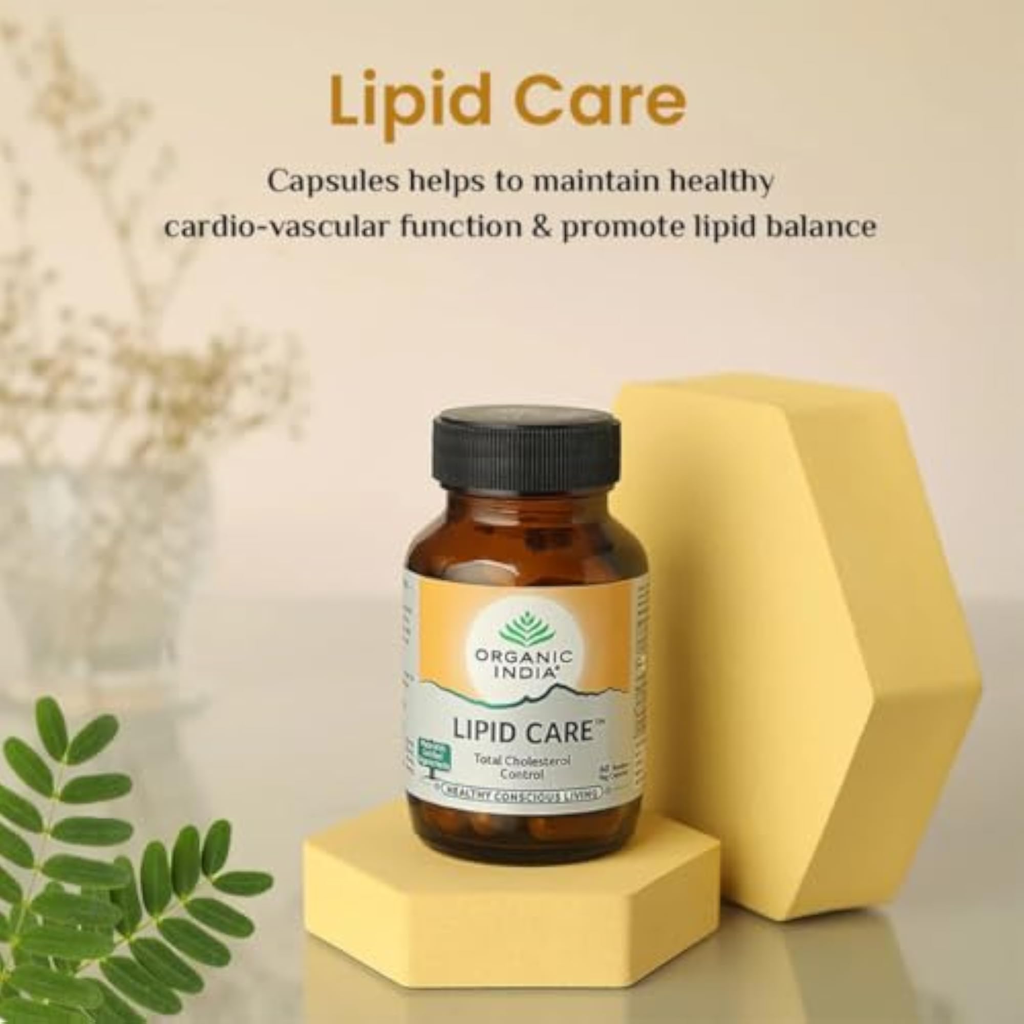 Organic Lipid Care, 60 Capsules Bottle (Pack Of 3)