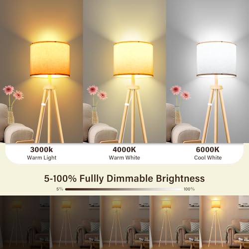 Home Page - Paul - Cosy Home Interiors
