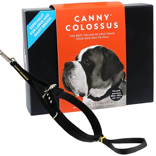 Canny Colossus Hundehalfter | Anti-Zug-Halsband für Hunde großer Rassen | Verhindert, DASS Ihr Hund an der Leine zieht | Kopfgeschirr Mit Gepolstertem Halsband | Schwarz