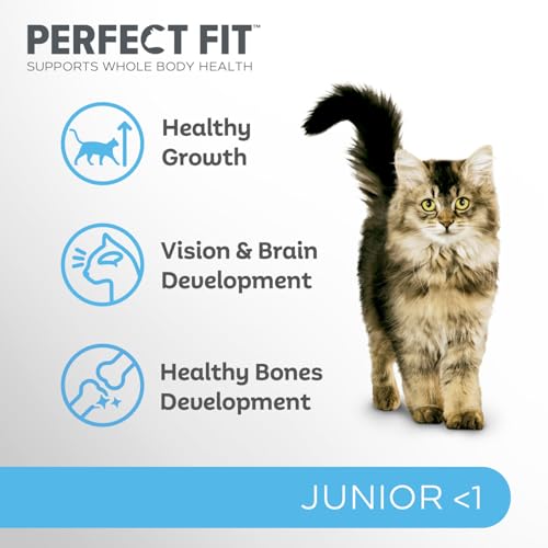 Perfect Fit Junior <1 Kompletna sucha karma dla kotów poniżej 1 roku, bogata w kurczaka, 1 worek (7 kg)
