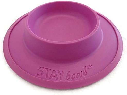 Miniatura 4 de Tazón de comida y agua para mascotas para gatos, perros de raza de juguete, dragones barbudos, tortugas y mascotas pequeñas (34 taza en cuatro