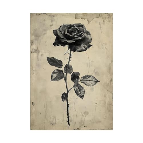 Art décoratif impression affiche et toile murale chambre 50x70cm
