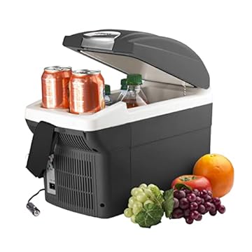electric lunch box cooler