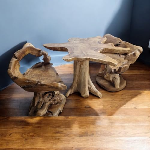 Teak Wurzelholz Sitzgruppe MEZALI mit 4 Stühlen