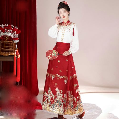 Jupe visage de cheval plissée et raffinée de style hanfu