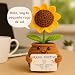 Imagen de Girasol Positivo