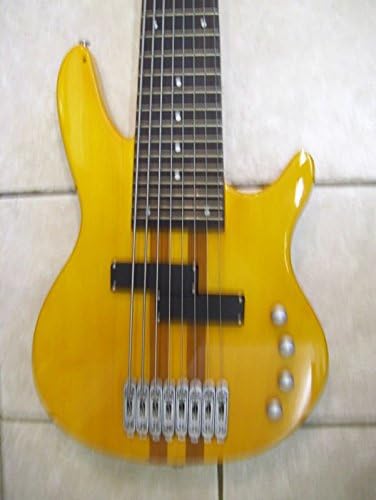 8 string Bass Guitar, neck through body, New