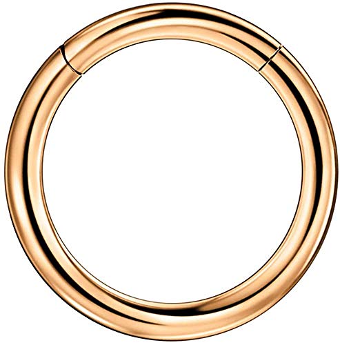 Image of FANSING Men Women 316L Surgical Steel Hinged Nose Rings Hoop for Nostril Septum Cartilage Helix Daith Tragus Rook Conch Lip Ear Lobe Piercings
