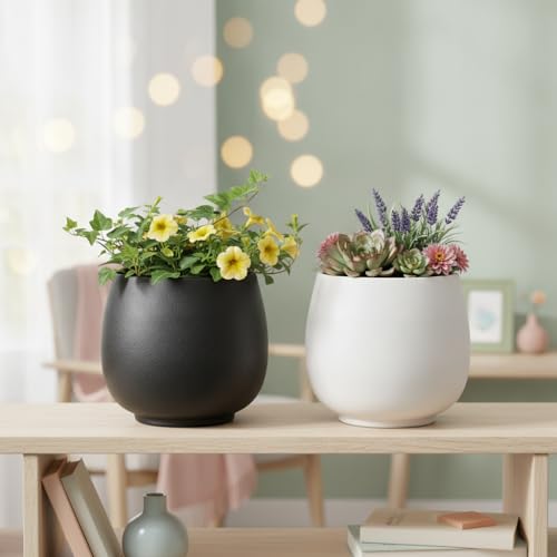 Image of Xtore 2 Pc Graceful Matte Ceramic Planter Pot for Indoor Plants & Bonsai Display | Minimal Rounded Tabletop Planter for Living Room, Desk & Window Styling (White& Black, Planters only)