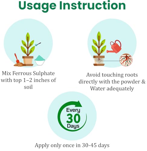 Image of Garden Genie Ferrous Sulphate Fertilizer For Plants Home Garden, 200Gm | Iron-Rich Micronutrient Supplement | Enhances Greener Leaves & Healthy Plant Growth | For Indoor & Outdoor Use,Powder