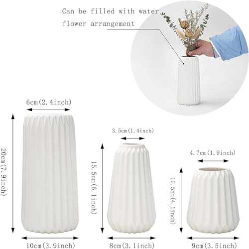 Floreros, Home Imagen adicional