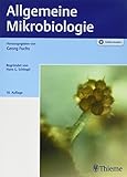 mikrobiologie jobs schweiz  Allgemeine Mikrobiologie