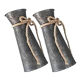 Robuste et fiable : fabriqué en fer, ce vase offre une solidité et une résistance exceptionnelles à l'usure quotidienne. pichet de jardin, vase décoratif pour la maison