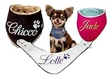 Bajo pedido con luz LED Bufanda para perro imitación antelina con nombre talla XXS XS S M L XL XXL XXXL NOMBRE DESEADO bufanda reversible bufanda perro tela nombre perros bandana regalo personalizado luz LED