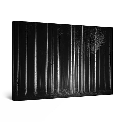 Startonight Quadro su Tela Luminoso - Foresta di Alberi in Bianco e Nero, Quadri Moderni Astratti per Camera da Letto, Stampe Incorniciate 60x90 cm, Decorazione Parete, Idea Regalo Elegante