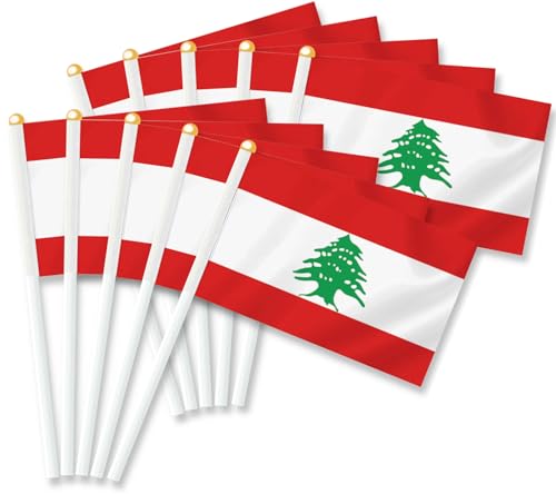25 PCS Lebanon Handheld Small Flag,Lebanese Libanés Hand held Mini Decor Decoration Banner by MacLand - Used condition - US$6.83