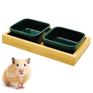 Hamster Food Bowl, Hamster Feeding & Water Bowls, Small Animals Ceramic Food Water Bowl Prevent Tipping for Dwarf Syrian Hamsters Bunny Gerbils Rats or Other Similar-Sized Small Pets (Green)